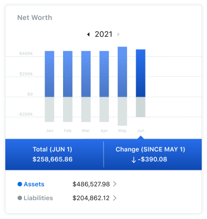 Screenshot of PFM net worth